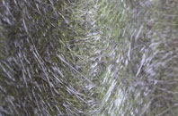 Ballintuim fibreglass roof work