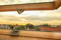 rated Ballintuim roof window companies